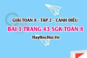 Bài 1 trang 43 Toán 8 Tập 2 Cánh Diều